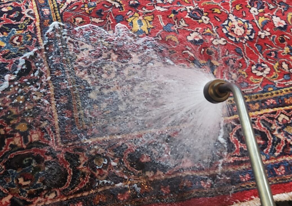 free pick up and delivery for area rug cleaning