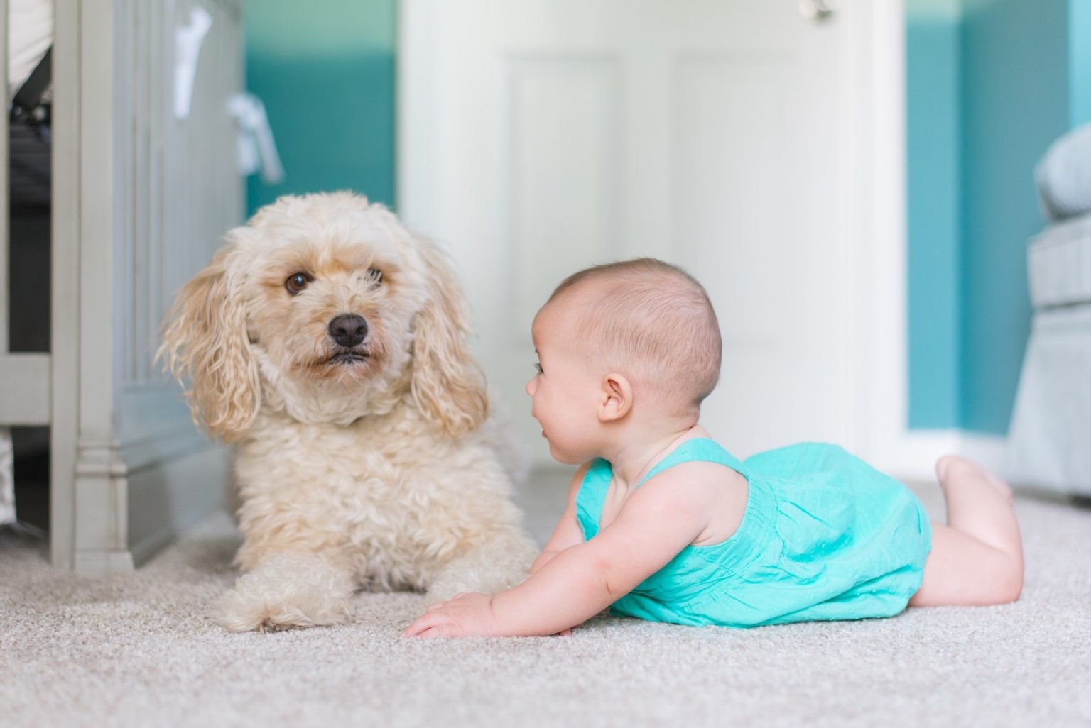 Trust our cleaning with your family